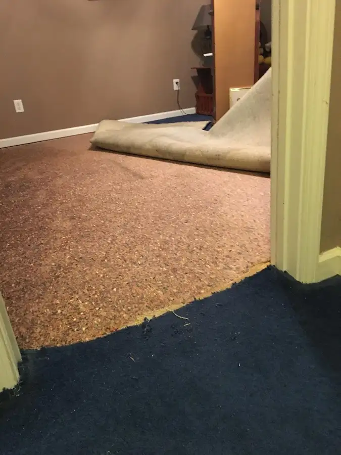 Carpet pad removal revealing water damage during Water Mitigation Services in Abington